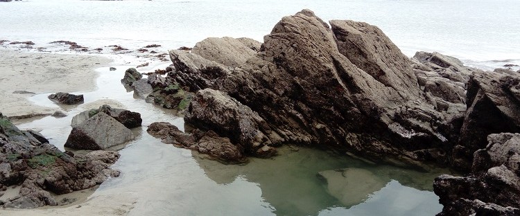 James Bond food Salcombe rock pool